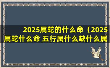 2025属蛇的什么命（2025属蛇什么命 五行属什么缺什么属性）